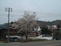  dscf0337.jpg 
