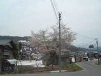  dscf0338.jpg 