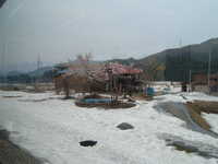  dscf0339.jpg 
