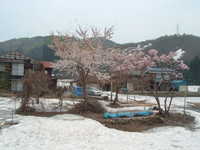  dscf0340.jpg 