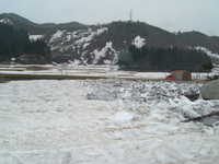  dscf0341.jpg 
