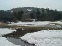  dscf0342.jpg 