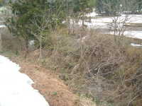  dscf0345.jpg 