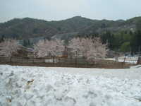  dscf0349.jpg 