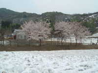  dscf0350.jpg 
