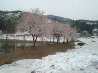  dscf0351.jpg 