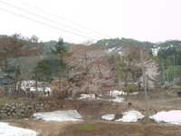  dscf0352.jpg 