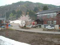  dscf0355.jpg 