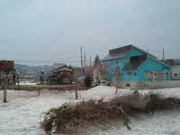  dscf0361.jpg 