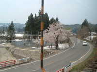  dscf0364.jpg 