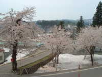  dscf0365.jpg 
