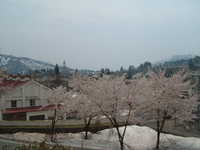  dscf0366.jpg 