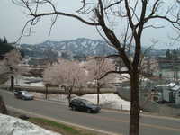  dscf0367.jpg 