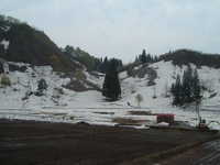  dscf0369.jpg 