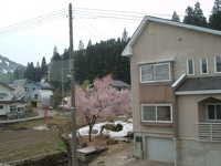  dscf0370.jpg 
