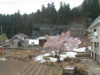  dscf0371.jpg 