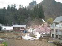  dscf0372.jpg 
