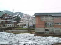  dscf0382.jpg 