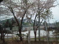  dscf0383.jpg 