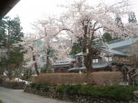  dscf0384.jpg 