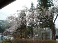  dscf0385.jpg 