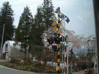  dscf0386.jpg 