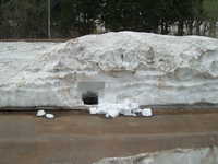  dscf0395.jpg 