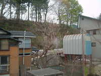  dscf0397.jpg 