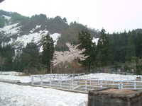  dscf0399.jpg 
