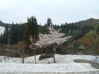  dscf0400.jpg 