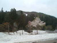  dscf0401.jpg 