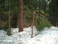  dscf0408.jpg 