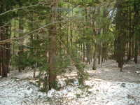  dscf0409.jpg 
