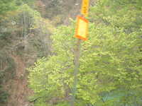  dscf0410.jpg 