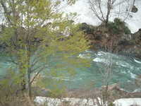  dscf0419.jpg 