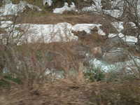  dscf0423.jpg 