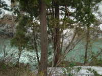  dscf0425.jpg 