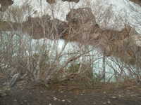  dscf0428.jpg 