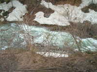  dscf0429.jpg 