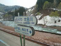  dscf0437.jpg 