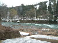  dscf0443.jpg 