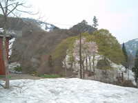  dscf0448.jpg 