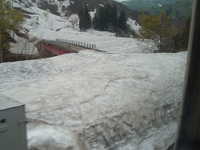  dscf0451.jpg 