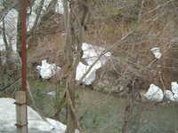  dscf0452.jpg 