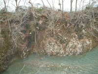  dscf0453.jpg 