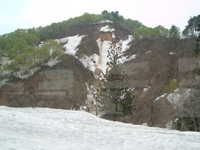  dscf0460.jpg 