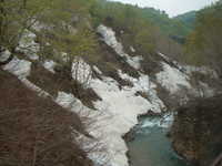  dscf0471.jpg 