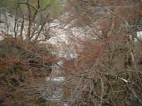  dscf0476.jpg 