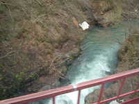  dscf0478.jpg 