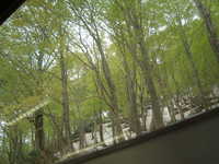  dscf0480.jpg 